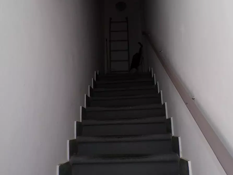 Immagine 4 di Terratetto in vendita  a Pisa