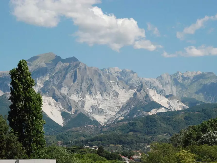 Immagine 4 di Mansarda in affitto  a Carrara