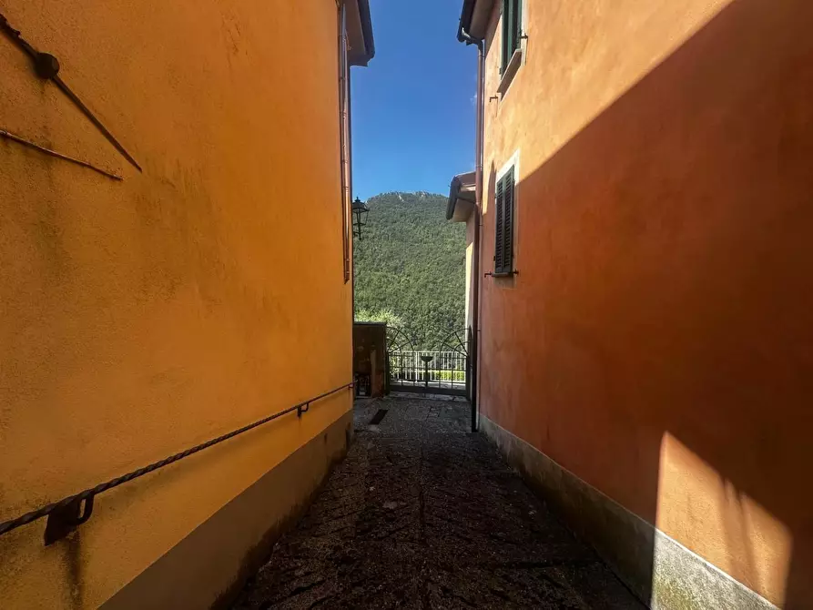 Immagine 2 di Terratetto in vendita  a Fabbriche Di Vergemoli