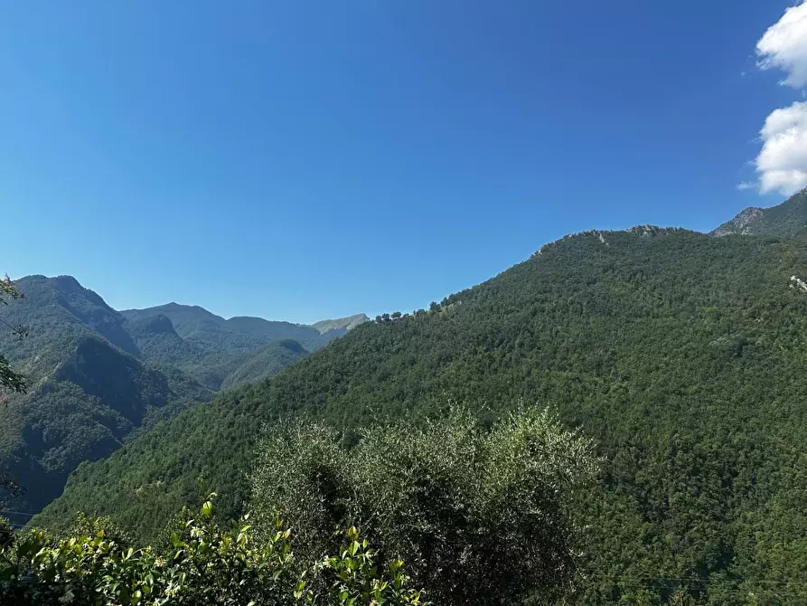 Immagine 19 di Terratetto in vendita  a Fabbriche Di Vergemoli