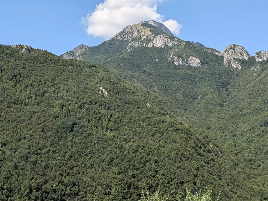 Immagine 10 di Terratetto in vendita  a Fabbriche Di Vergemoli