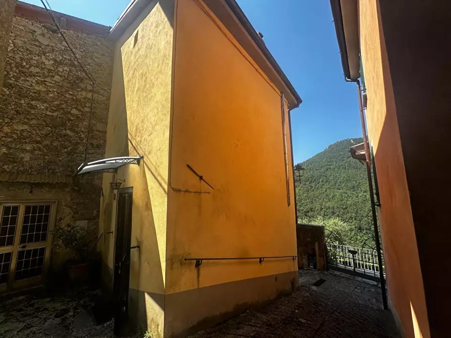 Immagine 1 di Terratetto in vendita  a Fabbriche Di Vergemoli