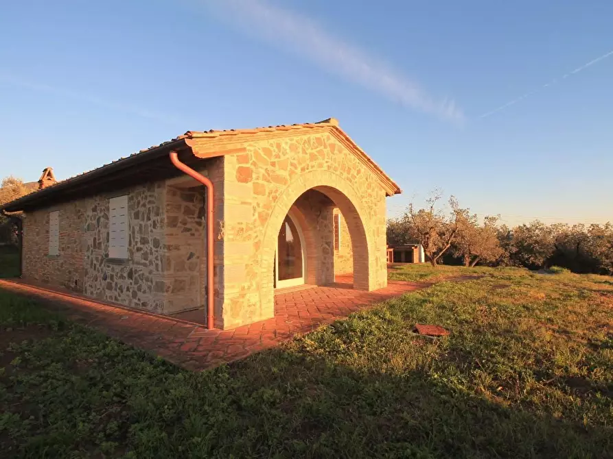Immagine 6 di Casa colonica in vendita  a Vinci