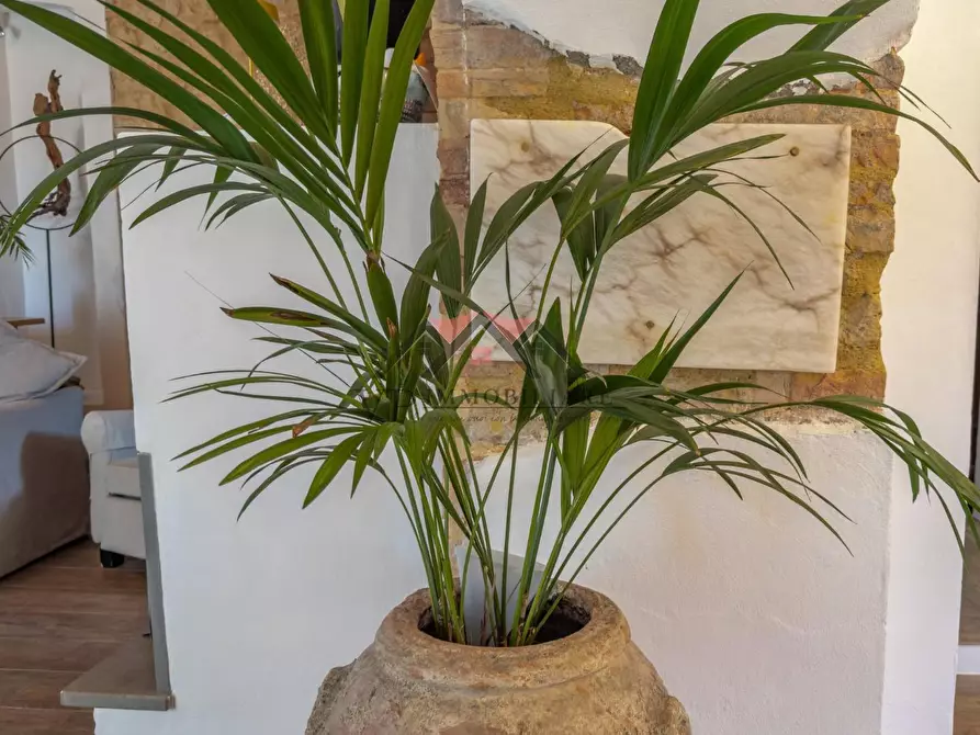 Immagine 22 di Appartamento in vendita  a Volterra