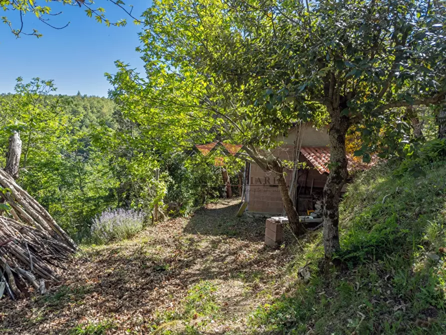 Immagine 9 di Garage in vendita  a Castelnuovo Val Di Cecina