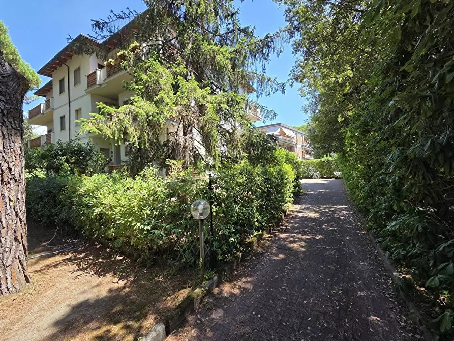 Immagine 1 di Appartamento in vendita  a Massa