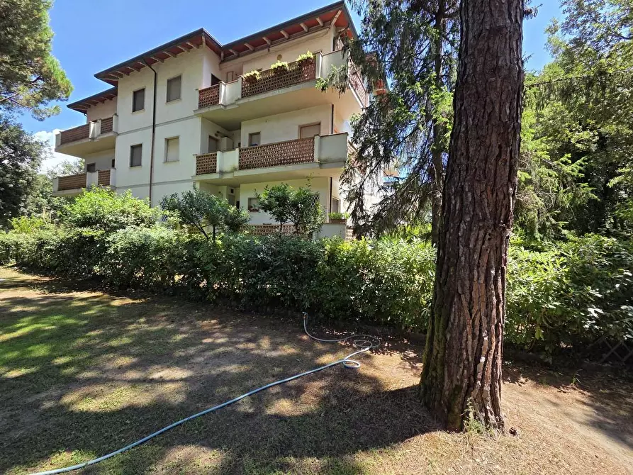 Immagine 34 di Appartamento in vendita  a Massa