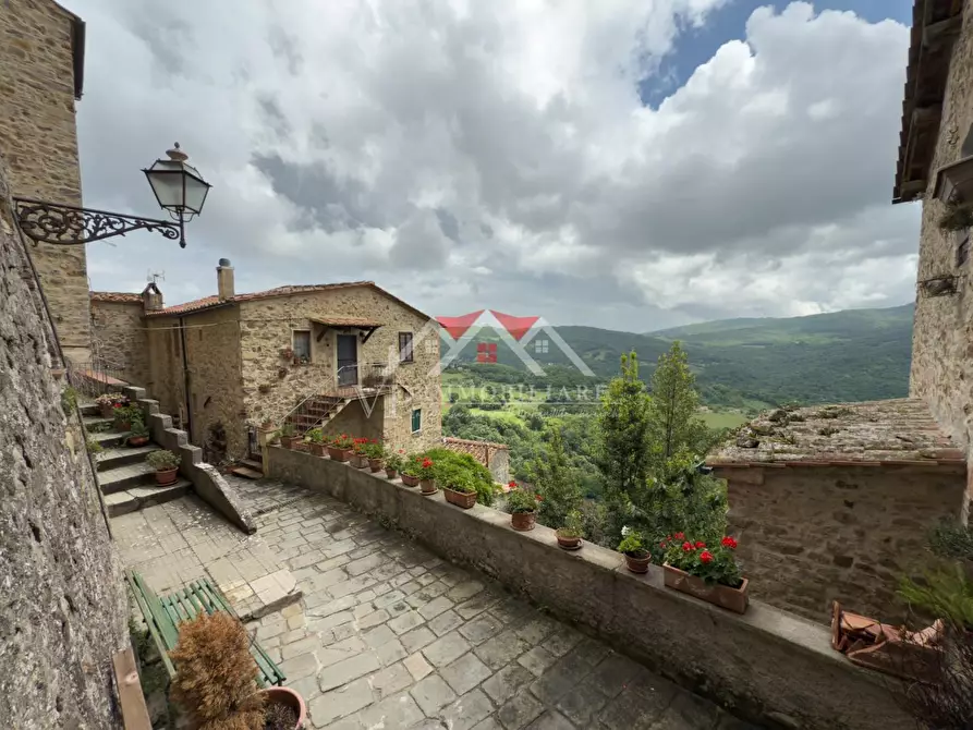 Immagine 8 di Seminterrato in vendita  a Castelnuovo Val Di Cecina