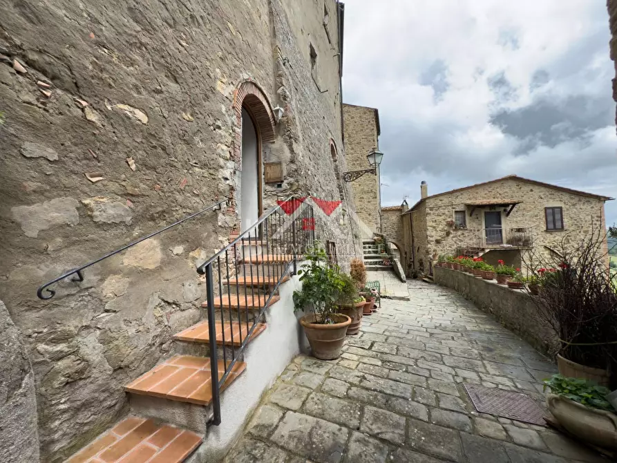 Immagine 9 di Seminterrato in vendita  a Castelnuovo Val Di Cecina