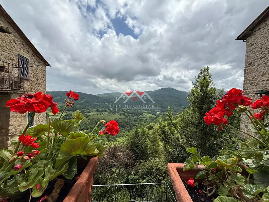 Immagine 12 di Seminterrato in vendita  a Castelnuovo Val Di Cecina