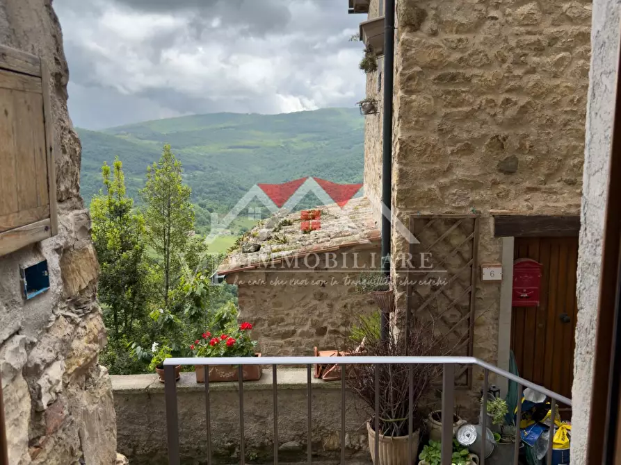 Immagine 6 di Seminterrato in vendita  a Castelnuovo Val Di Cecina
