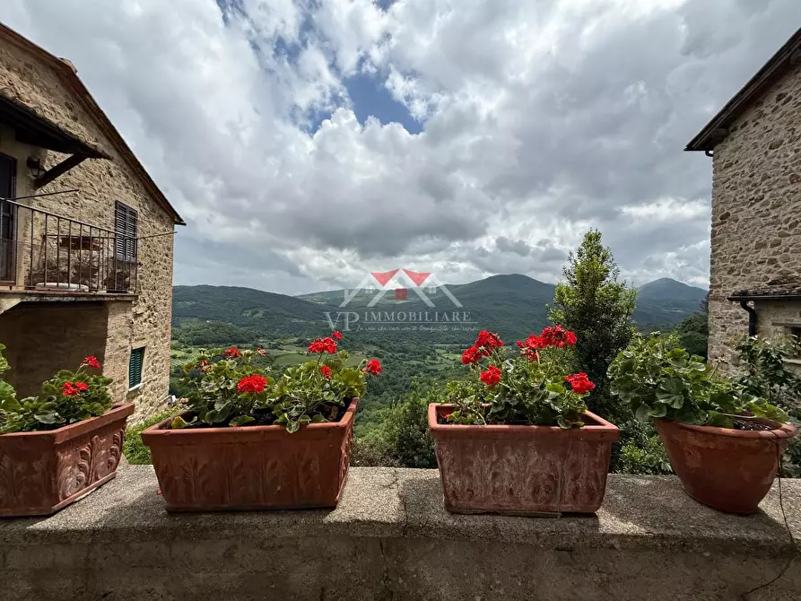 Immagine 11 di Seminterrato in vendita  a Castelnuovo Val Di Cecina