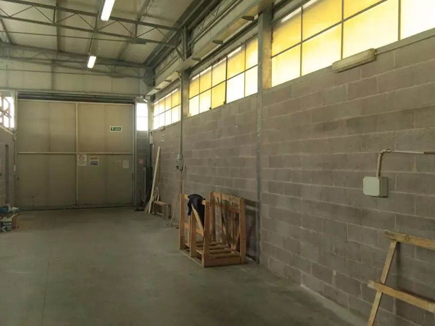 Immagine 8 di Attività artigianale in affitto  a Carrara