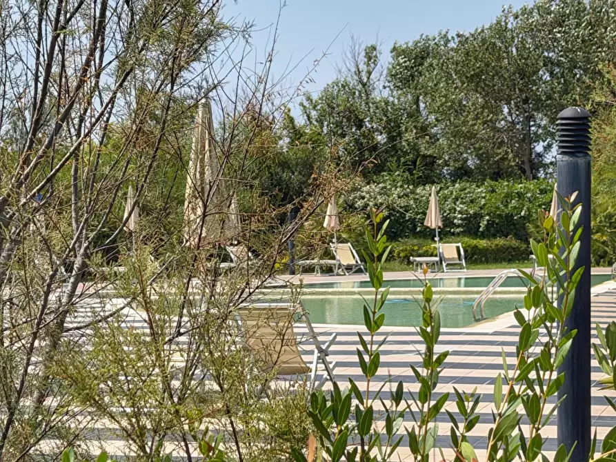 Immagine 21 di Appartamento in vendita  a Pisa