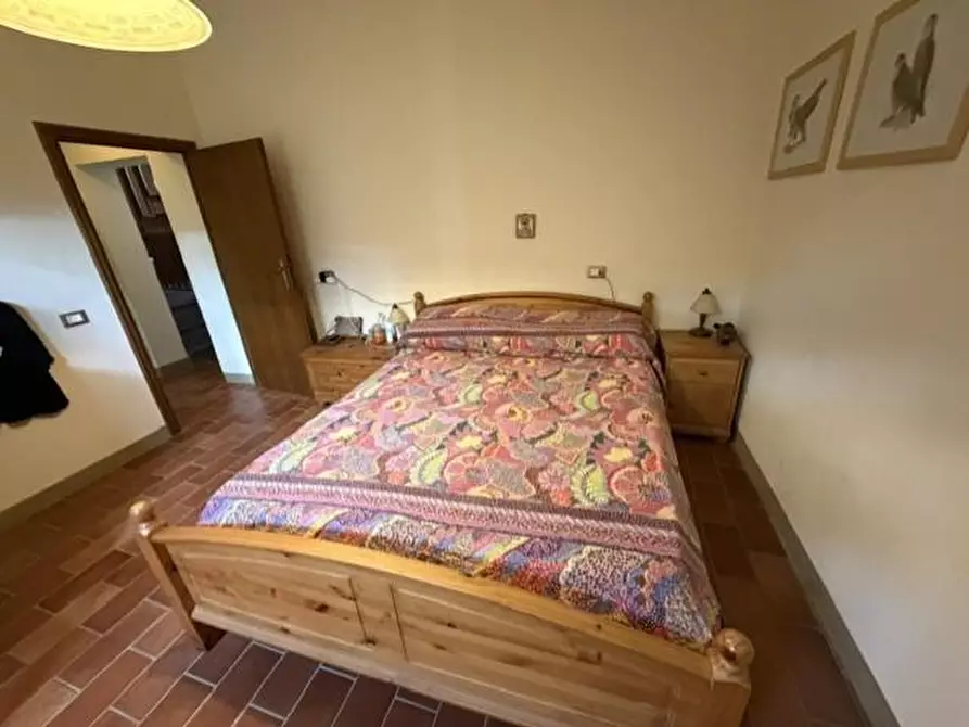 Immagine 28 di Terratetto in vendita  a Calci