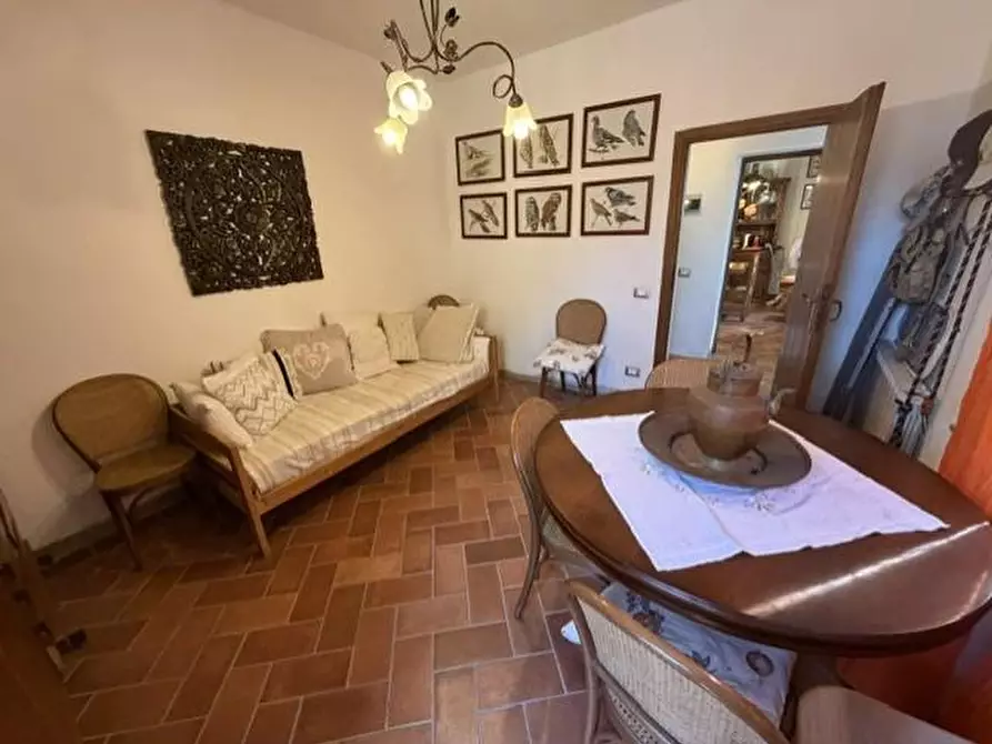 Immagine 15 di Terratetto in vendita  a Calci