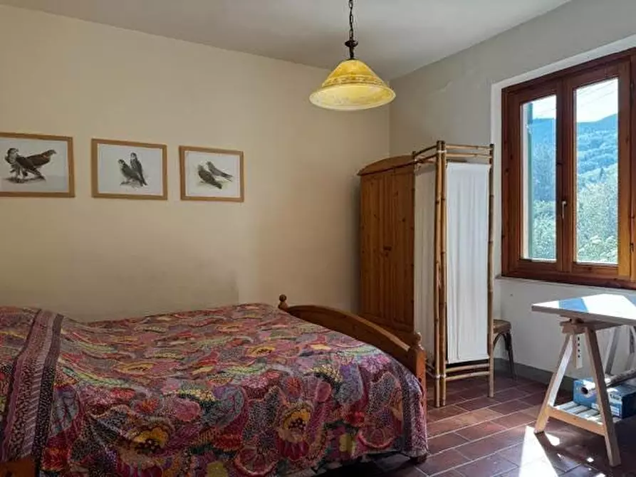 Immagine 10 di Terratetto in vendita  a Calci