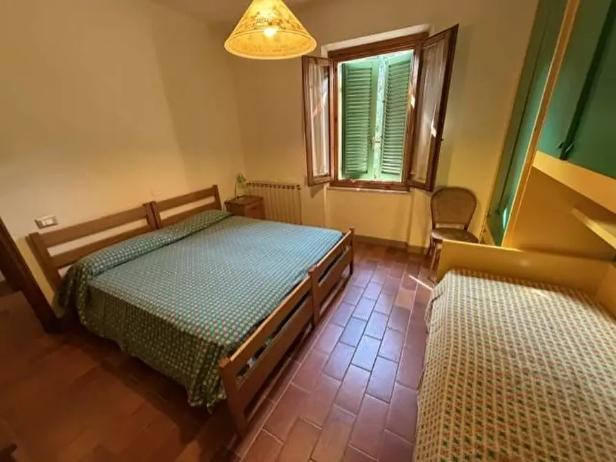 Immagine 13 di Terratetto in vendita  a Calci