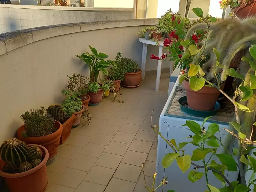 Immagine 38 di Appartamento in vendita  a Empoli