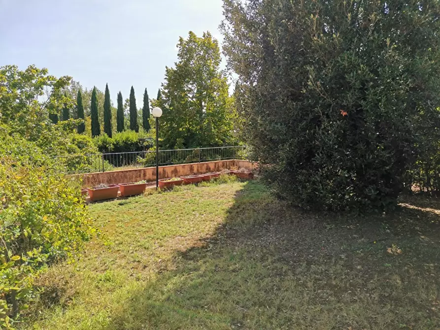 Immagine 21 di Rustico / casale in vendita  a Monteriggioni