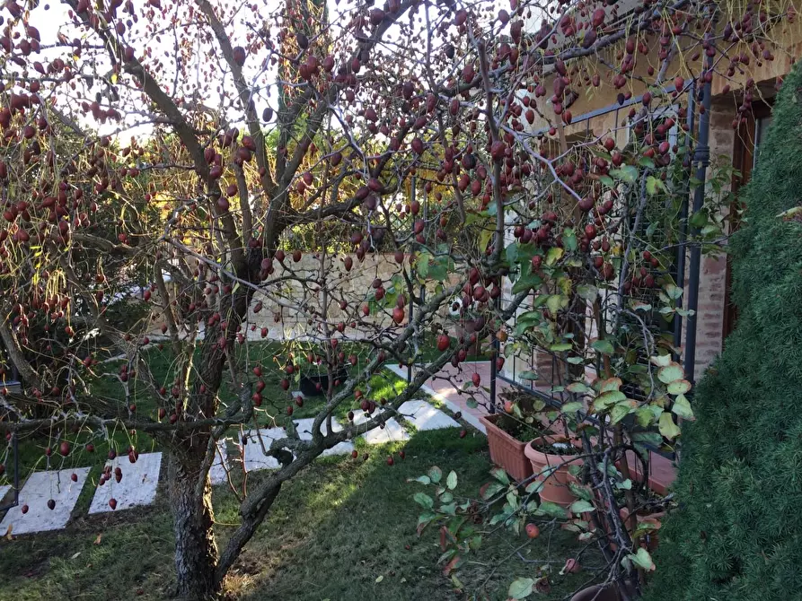 Immagine 5 di Rustico / casale in vendita  a Monteriggioni