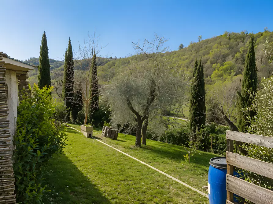Immagine 15 di Terratetto in vendita  a San Miniato