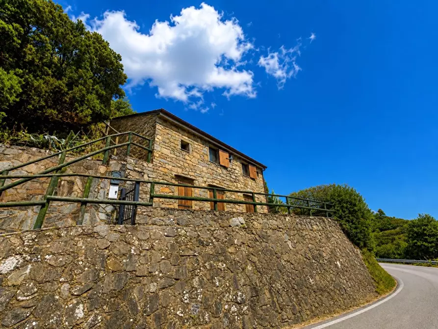 Immagine 4 di Casa colonica in vendita  a Riomaggiore