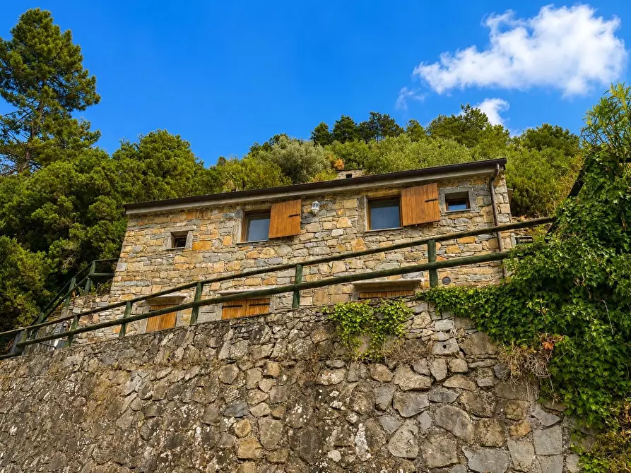 Immagine 42 di Casa colonica in vendita  a Riomaggiore