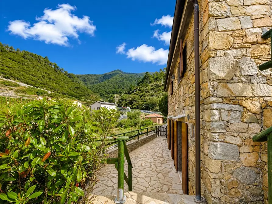 Immagine 17 di Casa colonica in vendita  a Riomaggiore