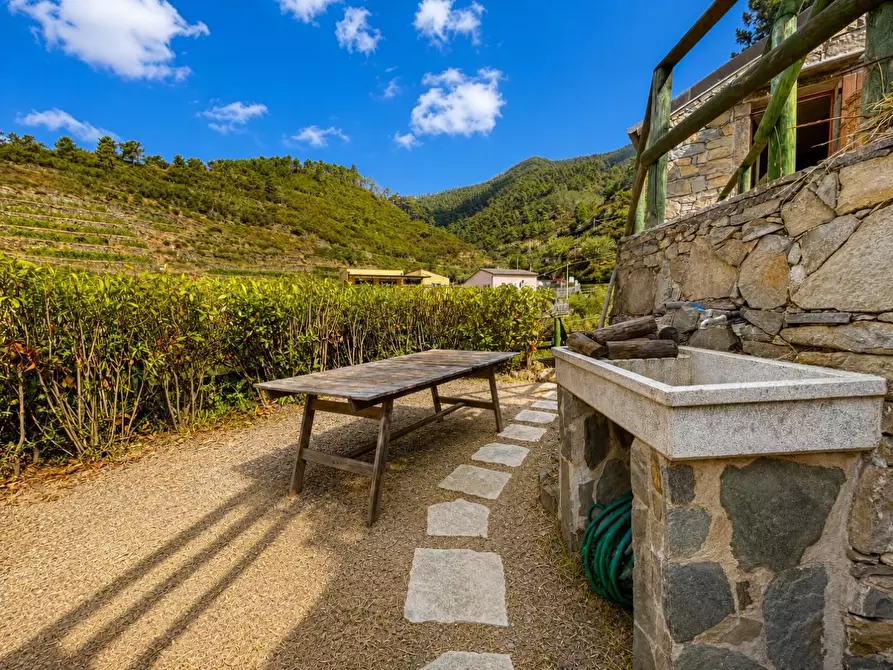 Immagine 37 di Casa colonica in vendita  a Riomaggiore