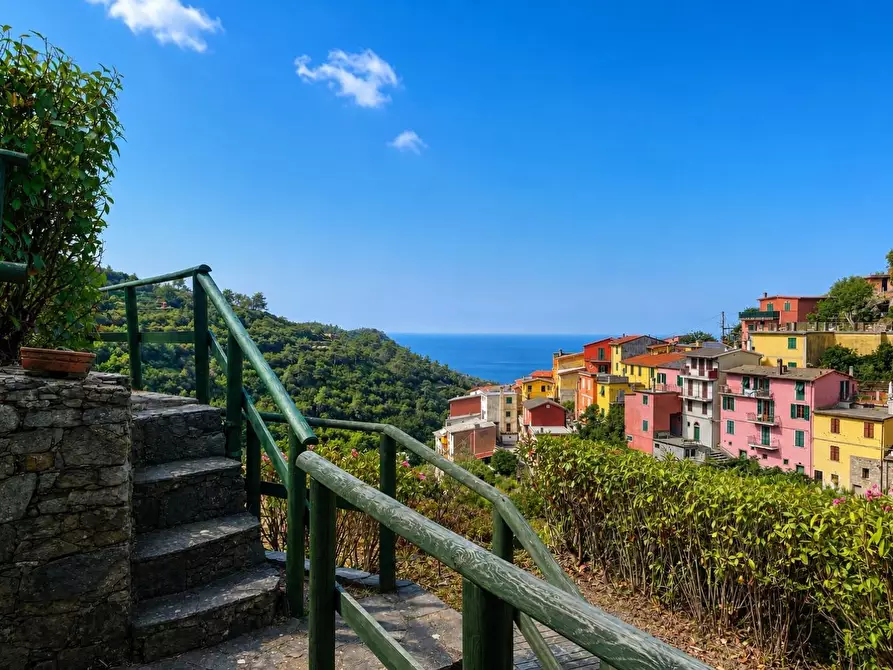 Immagine 1 di Casa colonica in vendita  a Riomaggiore