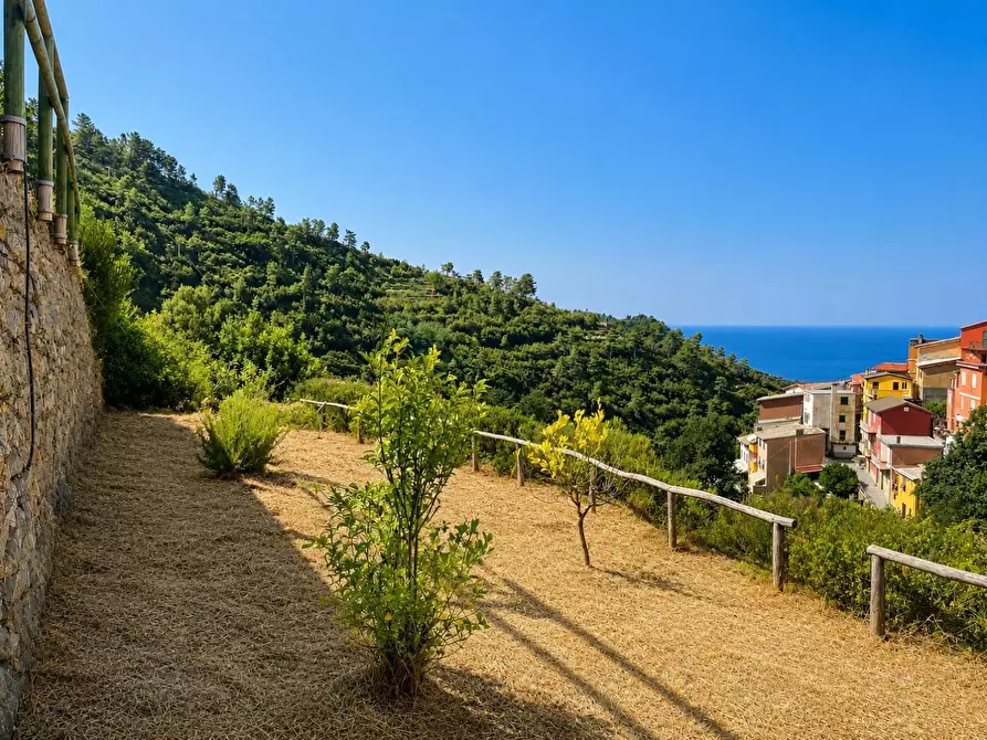 Immagine 39 di Casa colonica in vendita  a Riomaggiore