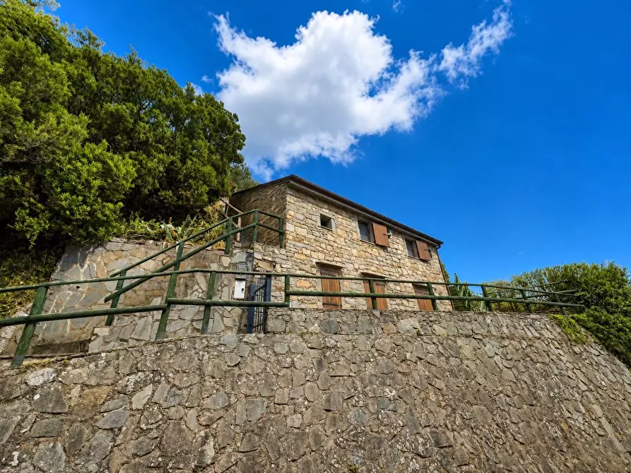 Immagine 40 di Casa colonica in vendita  a Riomaggiore