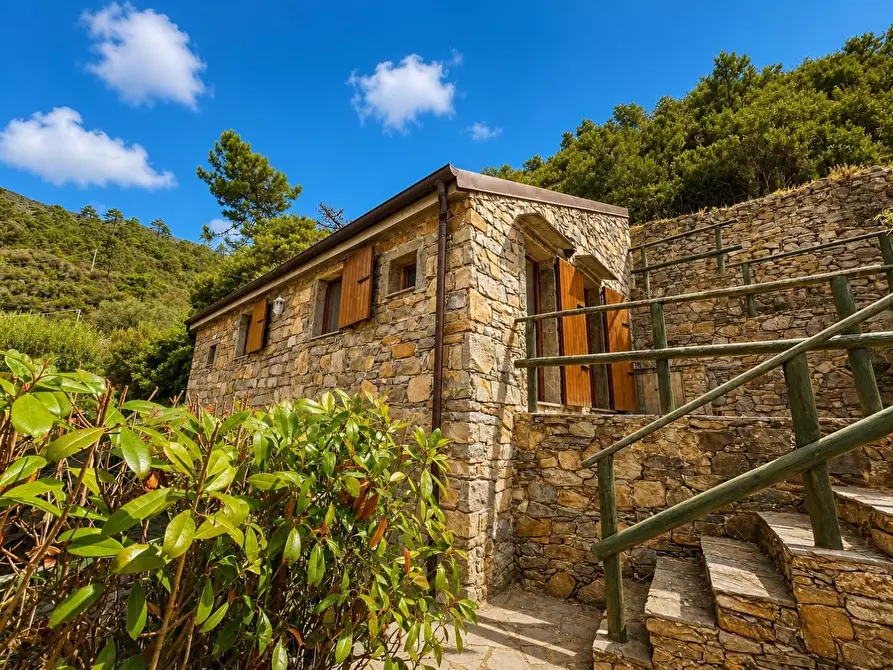 Immagine 5 di Casa colonica in vendita  a Riomaggiore
