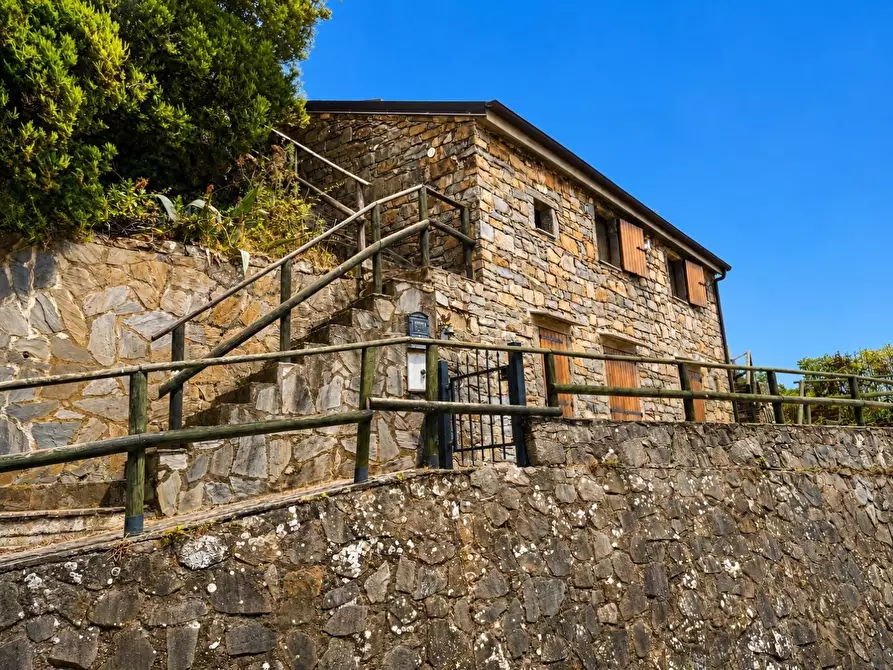 Immagine 41 di Casa colonica in vendita  a Riomaggiore