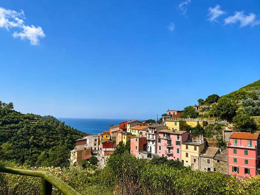 Immagine 2 di Casa colonica in vendita  a Riomaggiore