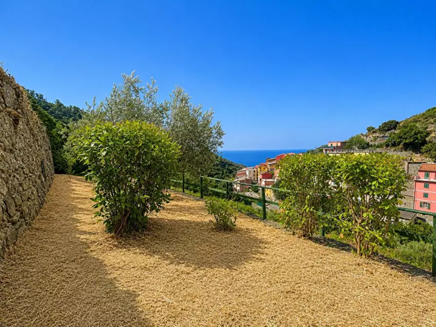Immagine 38 di Casa colonica in vendita  a Riomaggiore