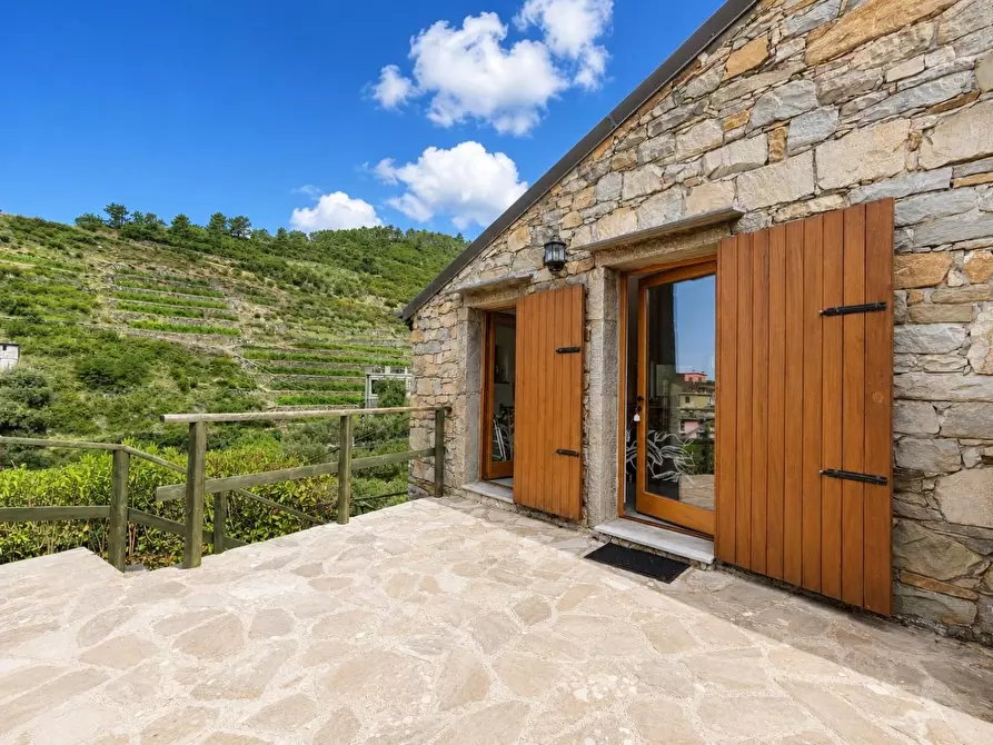 Immagine 32 di Casa colonica in vendita  a Riomaggiore