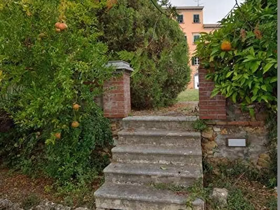 Immagine 7 di Villa in vendita  a Campiglia Marittima