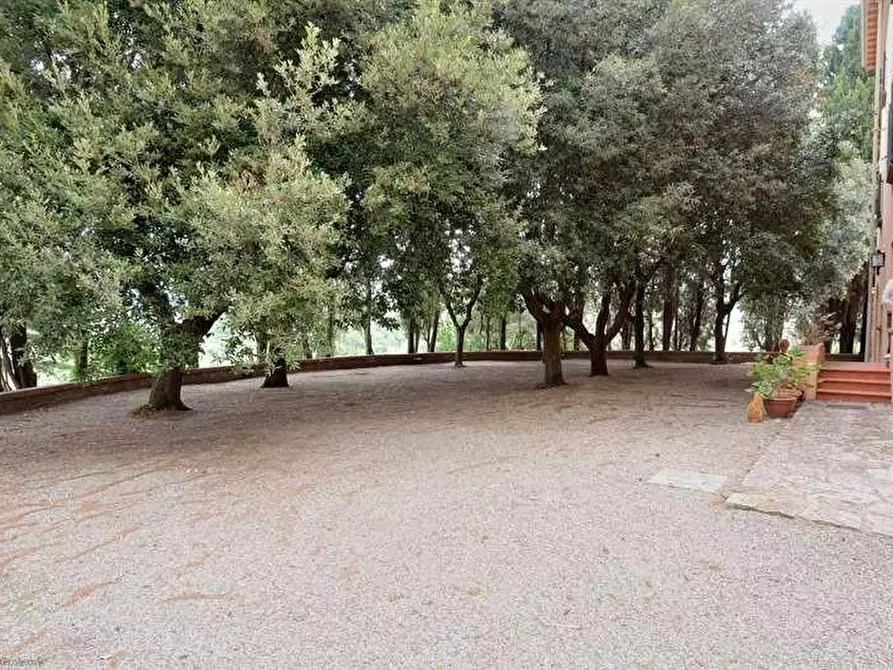 Immagine 45 di Villa in vendita  a Campiglia Marittima