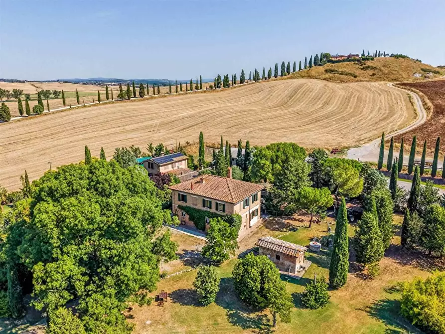 Immagine 4 di Casa colonica in vendita  a Asciano