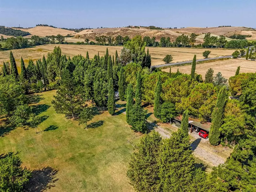 Immagine 6 di Casa colonica in vendita  a Asciano