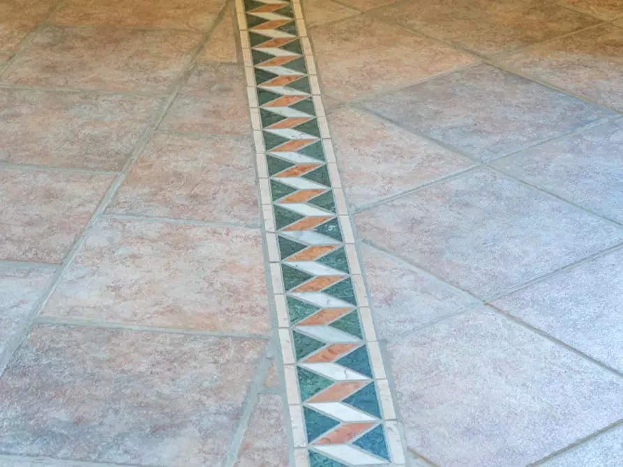 Immagine 49 di Casa colonica in vendita  a Asciano