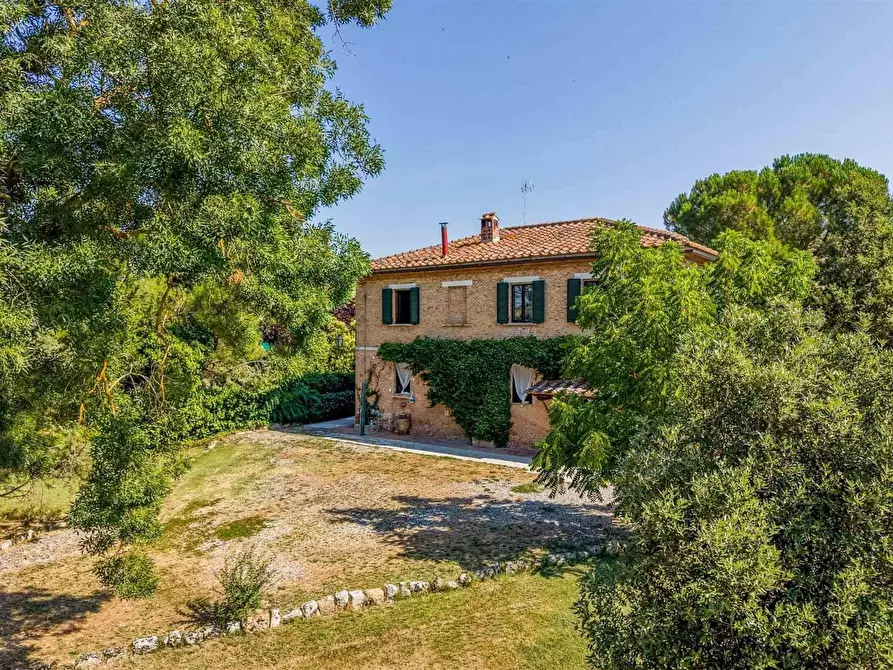 Immagine 2 di Casa colonica in vendita  a Asciano