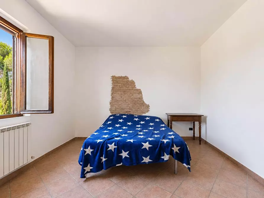 Immagine 45 di Casa colonica in vendita  a Asciano