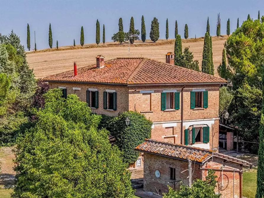 Immagine 9 di Casa colonica in vendita  a Asciano