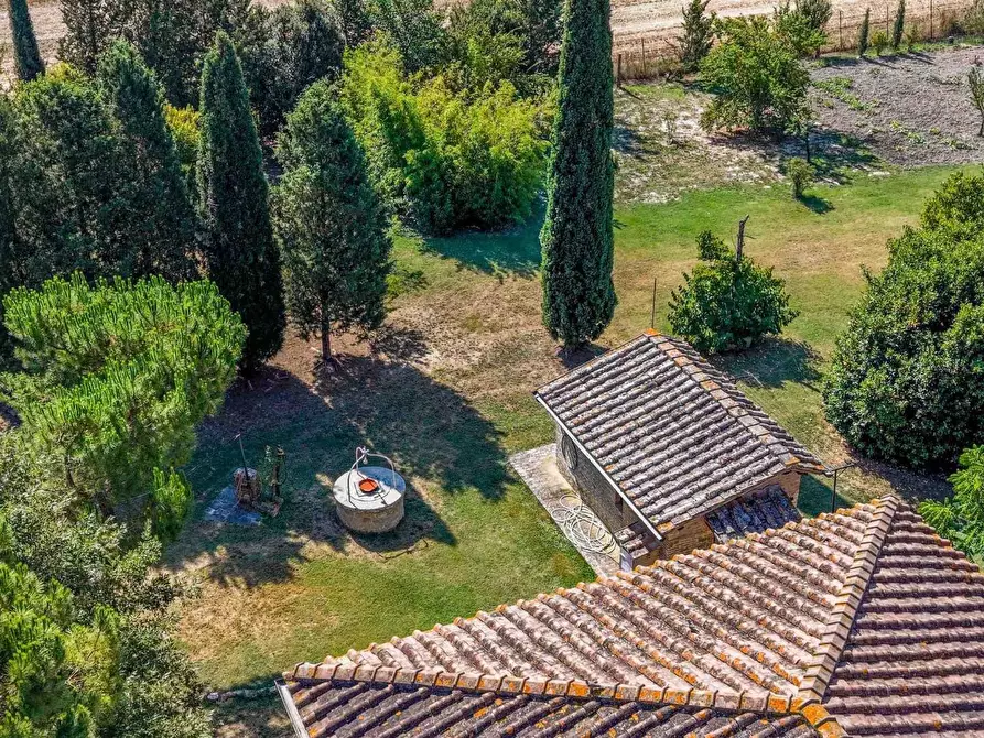 Immagine 10 di Casa colonica in vendita  a Asciano