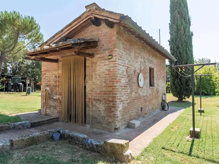 Immagine 13 di Casa colonica in vendita  a Asciano