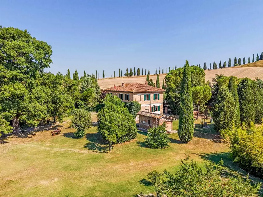 Immagine 7 di Casa colonica in vendita  a Asciano