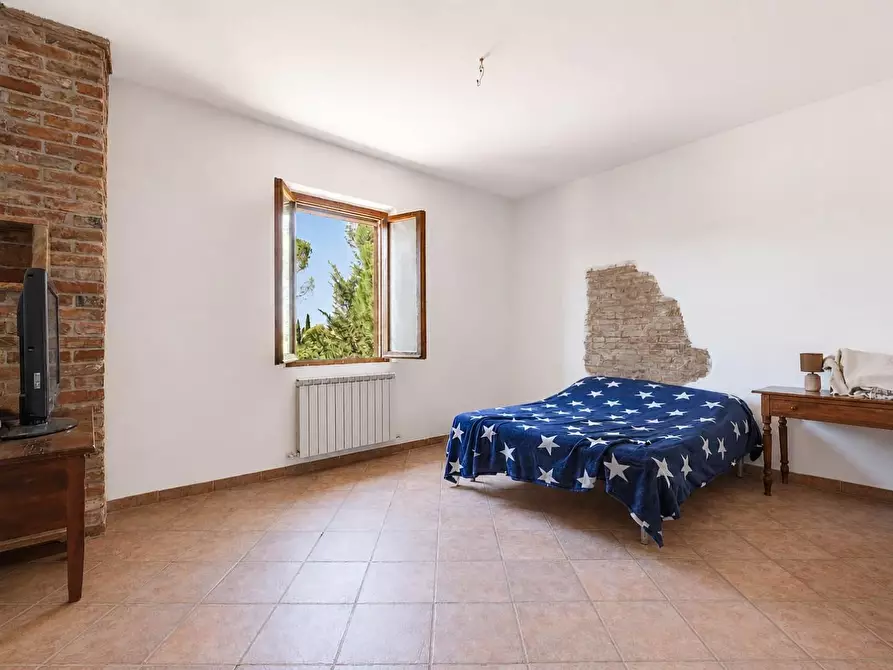 Immagine 44 di Casa colonica in vendita  a Asciano